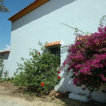 El Romerito-2