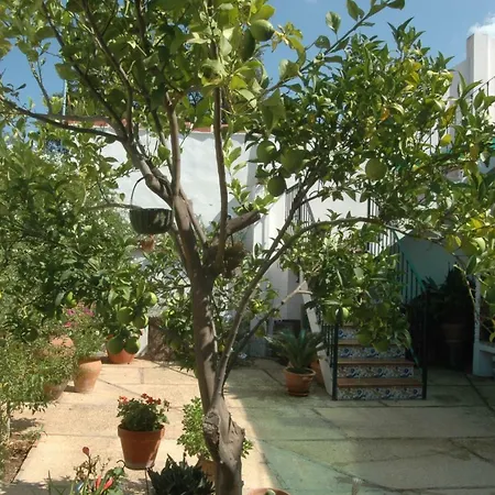 El Romerito-3